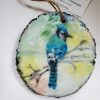 Bluejay Live Edge Ornament