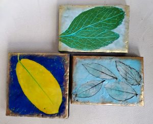 leaf image