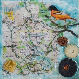 Wilson_3_Baltimore Oriole with map
